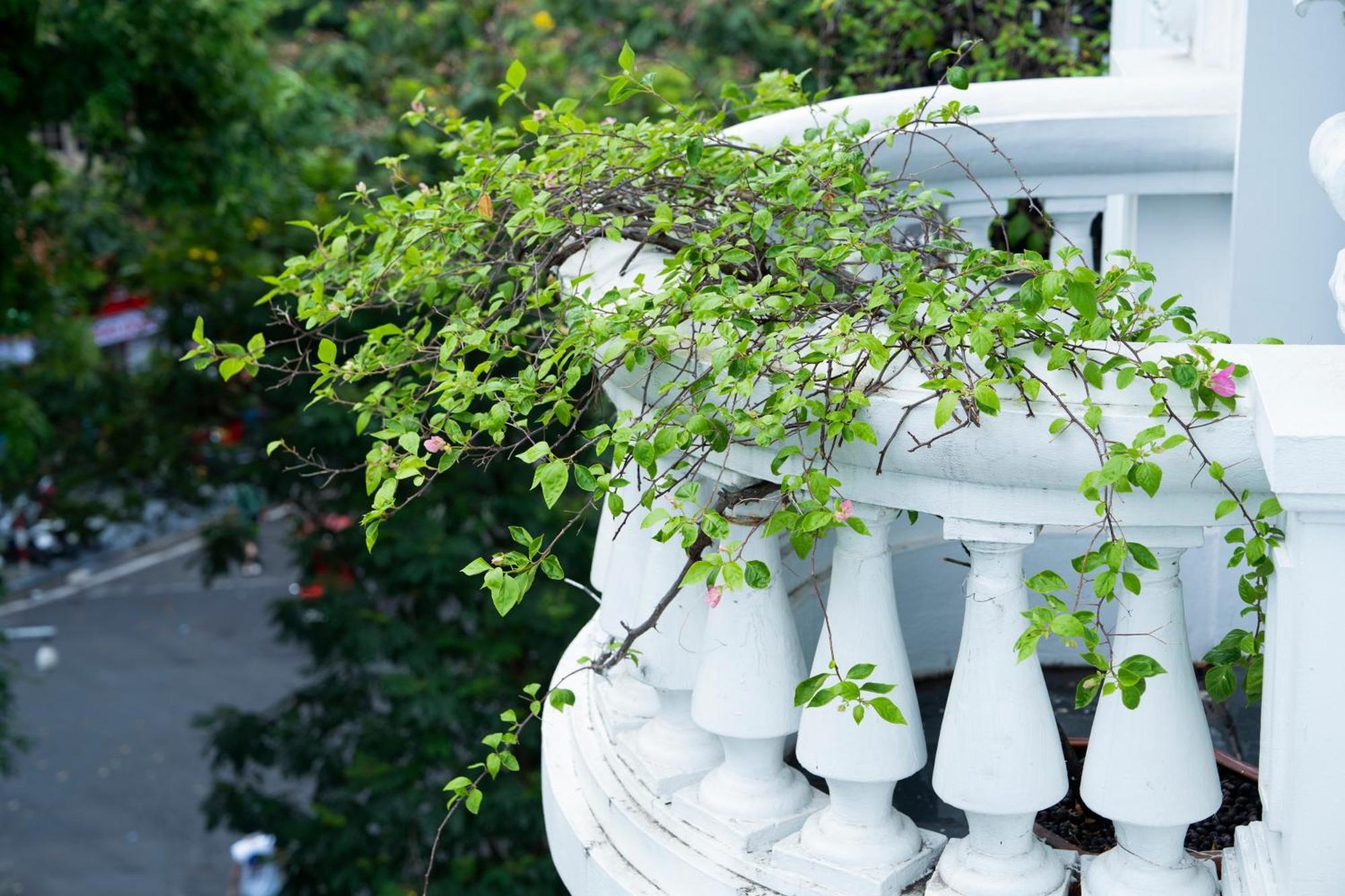 La Sinfonia Del Rey Hotel & Spa Hanoi Exterior foto